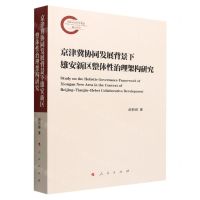 [N]京津冀协同发展背景下雄安新区整体性治理架构研究-9787010243771