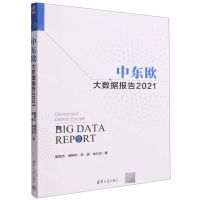 [N]中东欧大数据报告(2021)-9787302623557