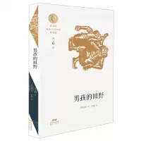 [N]男孩的田野/曹文轩短篇小说金卷典藏版-9787558324550