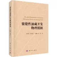 裂缝性油藏开发物理模拟