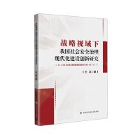 [N]战略视域下我国社会安全治理现代化建设创新研究-9787565347719