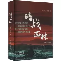 暗战西林