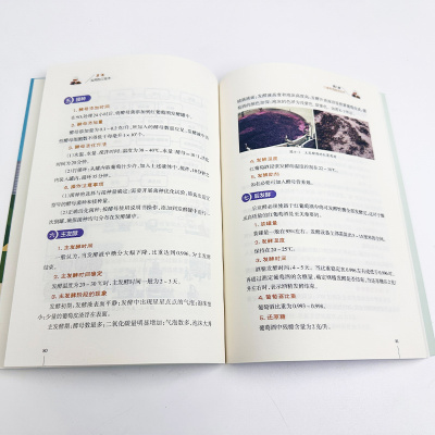 [助力乡村振兴出版计划·现代农业科技与管理系列]果酒实用加工技术