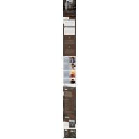 拾光之年:2023中国年度诗歌