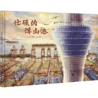 了不起的大国重器-忙碌的洋山港