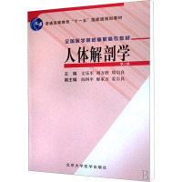 [M]人体解剖学 第2版-9787810719346