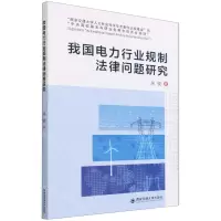 [N]我国电力行业规制法律问题研究-9787569321821