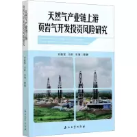 天然气产业链上游页岩气开发 风险研究