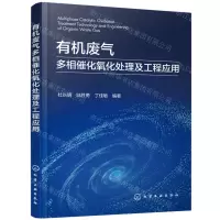 [N]有机废气多相催化氧化处理及工程应用-9787122448415