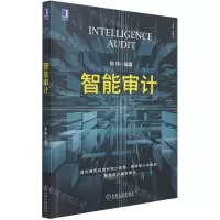 [N]智能审计-9787111683186
