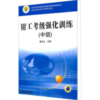 [M]钳工考级强化训练(中级)-9787111347859