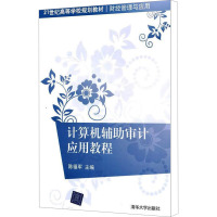 [M]计算机辅助审计应用教程-9787302251194
