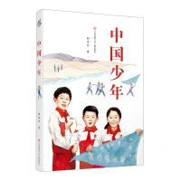[N]中国少年-9787558426988
