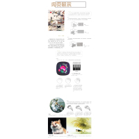 雪宧绣谱 手绘彩图修订版古物质文化手工工匠刺绣技术理论专著 苏绣顾绣蜀绣粤绣湘绣中国四大名绣书(手绘彩图修订版)