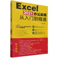 [N]Excel2021办公应用从入门到精通-9787301328941