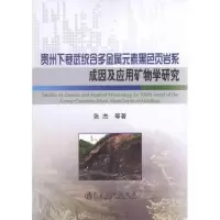 [N]贵州下寒武统含多金属元素黑色页岩系成因及应用矿物学研究-9787502458447