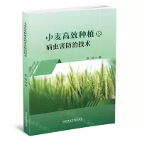 [N]小麦高效种植及病虫害防治技术-9787518986897