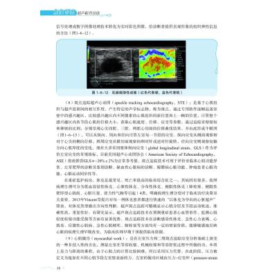 急危重症超声检查技能