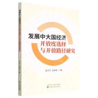 [N]发展中大国经济开放度选择与开放路径研究-9787521837872