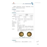 温州医科大学附属眼视光医院低视力与视觉损伤康复病例精解