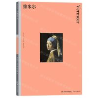 [N]维米尔-9787535698674