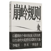 [N]崩岭规则-9787541165382