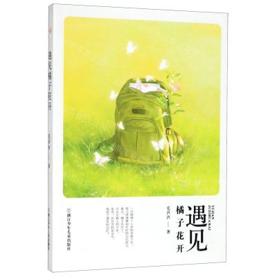 [N]遇见橘子花开-9787559718907