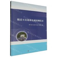 [N]隧道不良地质电磁探测技术-9787564395278