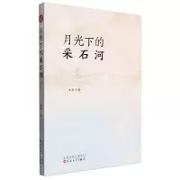 [N]月光下的采石河-9787530687758