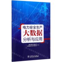 [N]电力安全生产大数据分析与应用-9787519836139