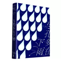 [N]马孔多在下雨-9787532182237