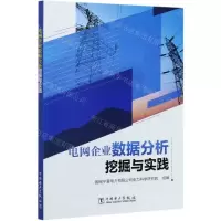 [N]电网企业数据分析挖掘与实践-9787519850715