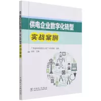 [N]供电企业数字化转型实战案例-9787519859114