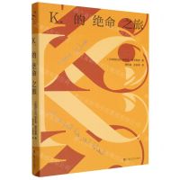 [N]K.的绝命之旅-9787532181179