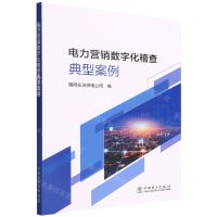 [N]电力营销数字化稽查典型案例-9787519865313