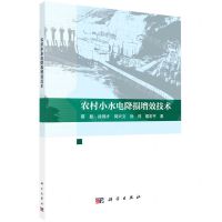 [N]农村小水电降损增效技术-9787030743091