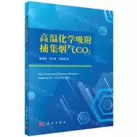 [N]高温化学吸附捕集烟气CO2-9787030748331