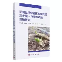 [N]沿黄盐渍化灌区农膜残留对土壤-作物系统的影响研究-9787030745873