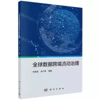 [N]全球数据跨境流动治理-9787030741349