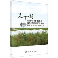 [N]艾丁湖流域河-湖-地下水耦合模拟模型及应用-9787030738929