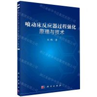 [N]喷动床反应器过程强化原理与技术-9787030739506