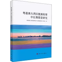 粤港澳大湾区能源转型中长期情景研究