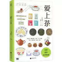 [N]爱上茶-9787559466228