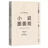 [N]小说面面观-9787201180731