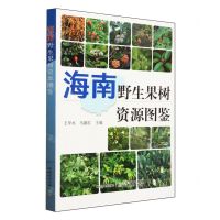 [N]海南野生果树资源图鉴-9787109311589