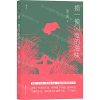 [N]摸一摸闪电的滋味-9787541157356