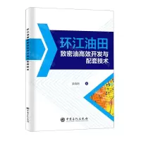 [N]环江油田致密油高效开发与配套技术-9787511464958