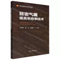 [N]致密气藏提高采收率技术-9787518354115