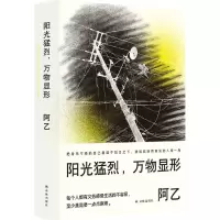 [N]阳光猛烈万物显形(精)-9787544788632
