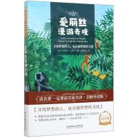 [N]爱丽丝漫游奇境(全译本)-9787568282635